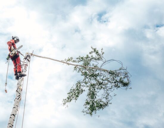 arboristi teenused